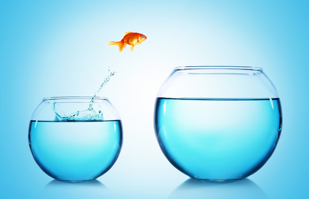 Scaling your Business: Can you make the Leap?
